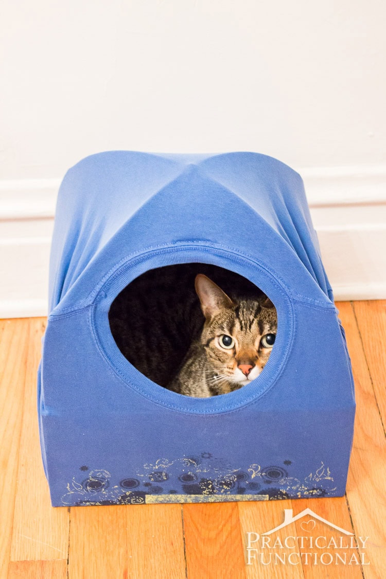 Cat tent 2025 bed diy